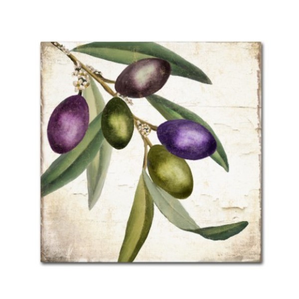 Trademark Fine Art Color Bakery 'Olive Branch I' Canvas Art, 14x14 ALI4809-C1414GG